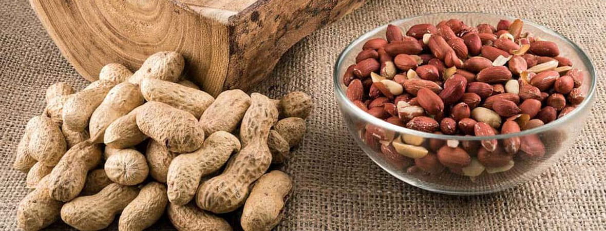بادام زمینی تازه را چگونه تشخیص دهیم؟ راهنمای کاربردی