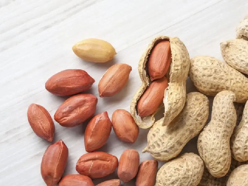 بهترین زمان خرید بادام زمینی با قیمت مناسب