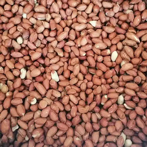 بادام زمینی بوداده