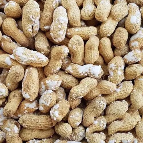 بادام زمینی غلاف دار برشته