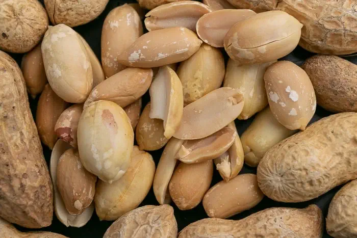 بادام زمینی تازه را چگونه تشخیص دهیم؟ راهنمای کاربردی