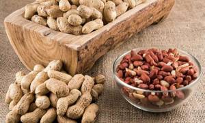 صادرات بادام زمینی به عراق