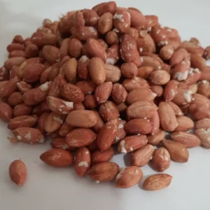 راهنمای خرید بادام زمینی برشته برای بسته‌ بندی و برندسازی اختصاصی