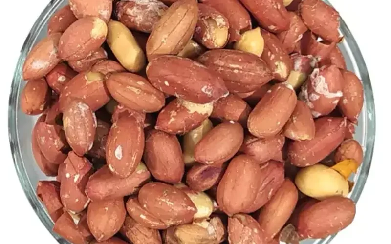 خرید آنلاین بادام زمینی برشته، تجربه مطمئن با تحویل فوری