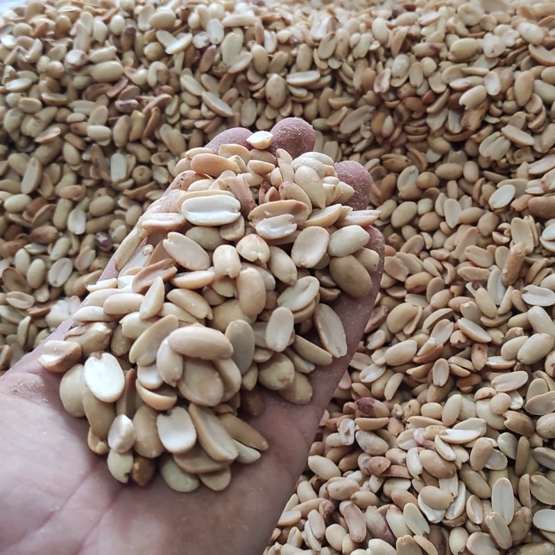 راهنمای جامع خرید بادام زمینی برشته از بهترین تأمین‌ کنندگان 