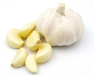 قیمت سیر عمده درب مزرعه
