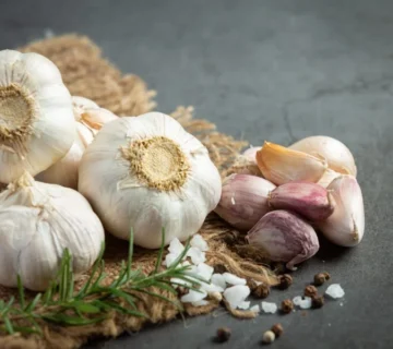 فروش سیر صادراتی با کیفیت بالا