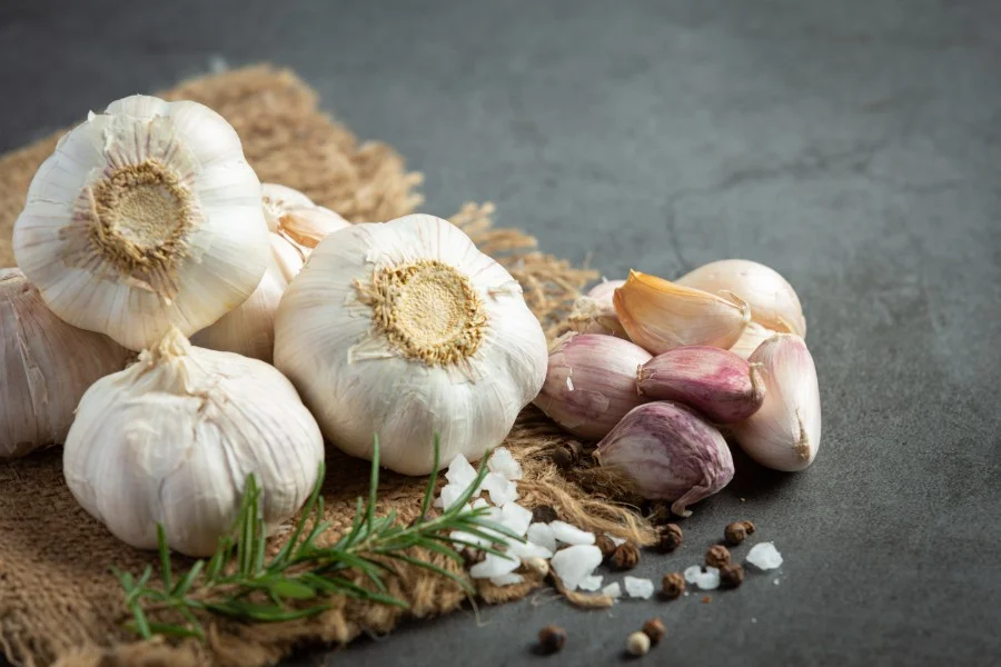 فروش سیر صادراتی با کیفیت بالا