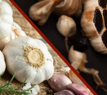 قیمت سیر عمده درب مزرعه