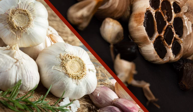 قیمت سیر عمده درب مزرعه